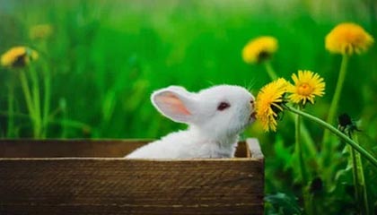 壹视界·微镜头文章解读 | 这一握，情深意重