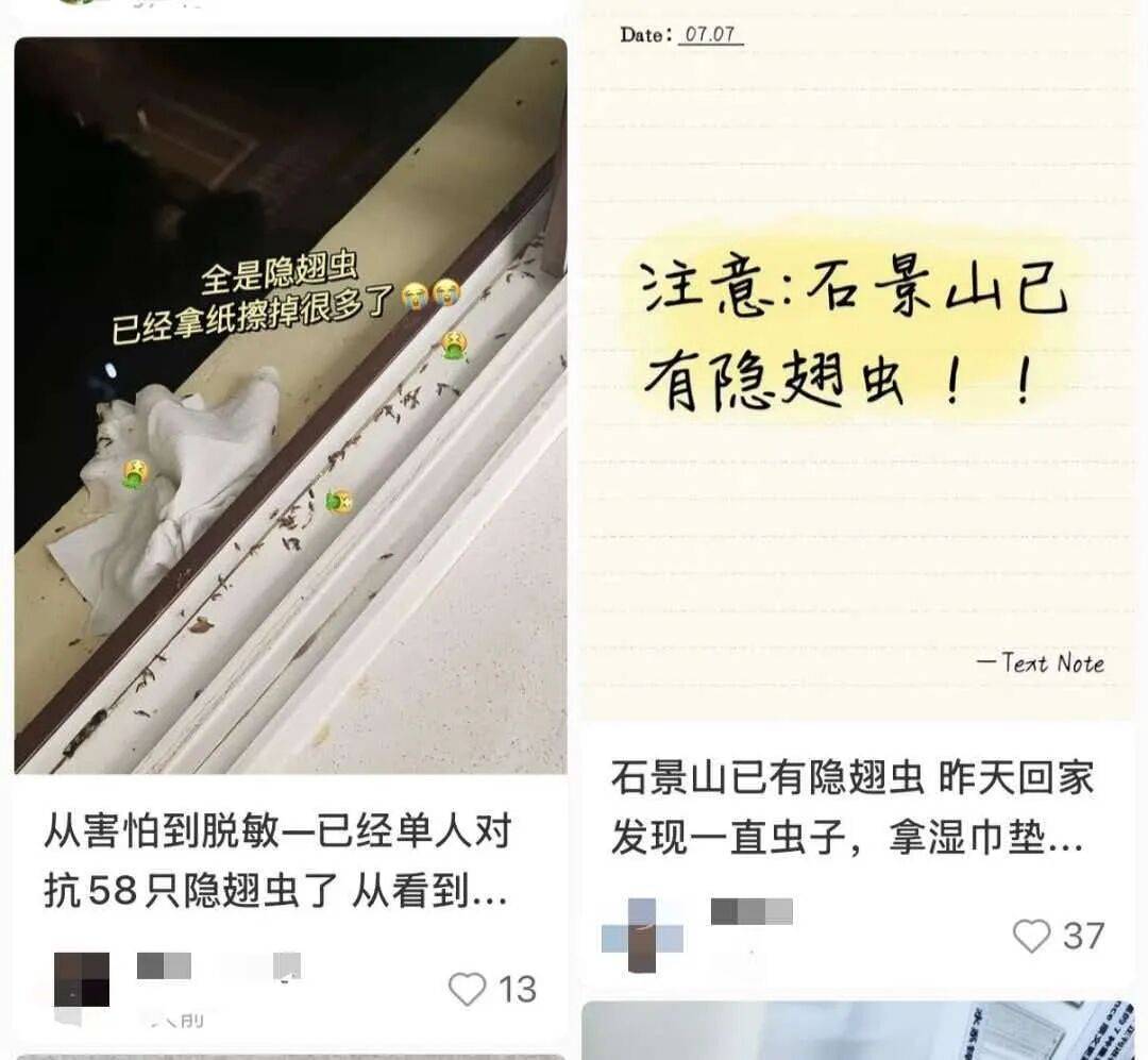 北京家住17层，屋内发现隐翅虫，专家：高层绝非“安全区”，碘伏、盐水、牙膏、酱油都别用