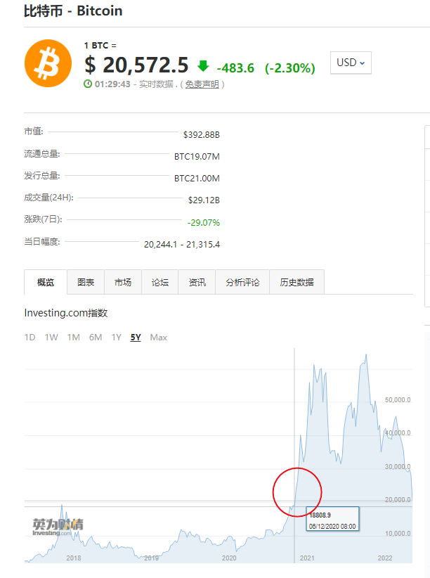 飞币虚拟币(飞币官网下载)