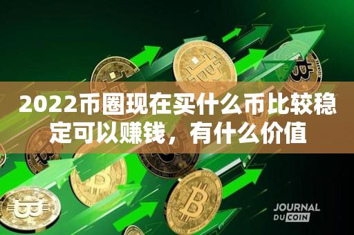 虚拟币真的赚钱吗(虚拟币到底赚什么钱)
