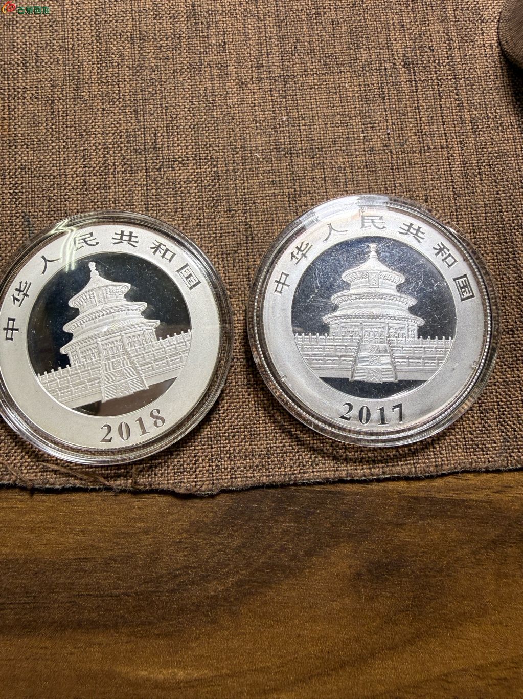 熊猫币虚拟币(熊猫虚拟币投资)